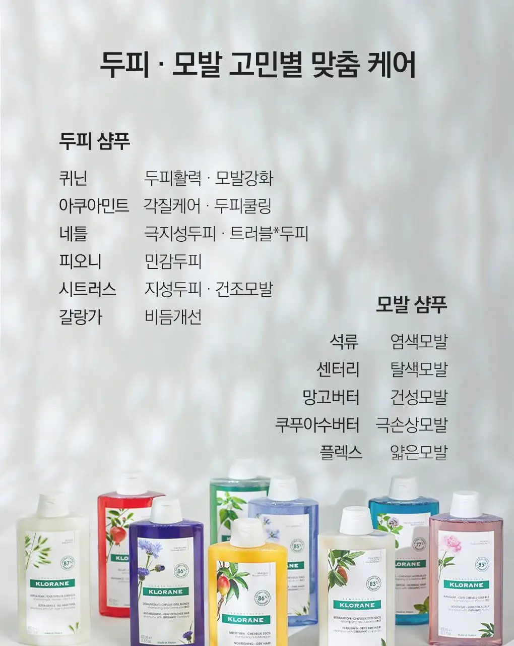 [지성두피&쿨링] 클로란 드라이샴푸 150ml 2종 (쿨세범/노세범) 상세페이지 35